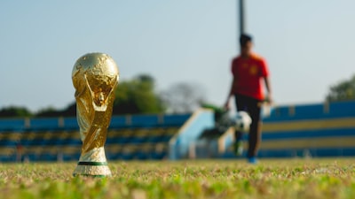 جراديشارلاعبالأهليويكيبيدياالسيرةالذاتيةوالإنجازات